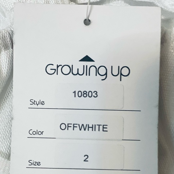 🍦Toddler Formal Dress🍦 - Picture 9 of 12